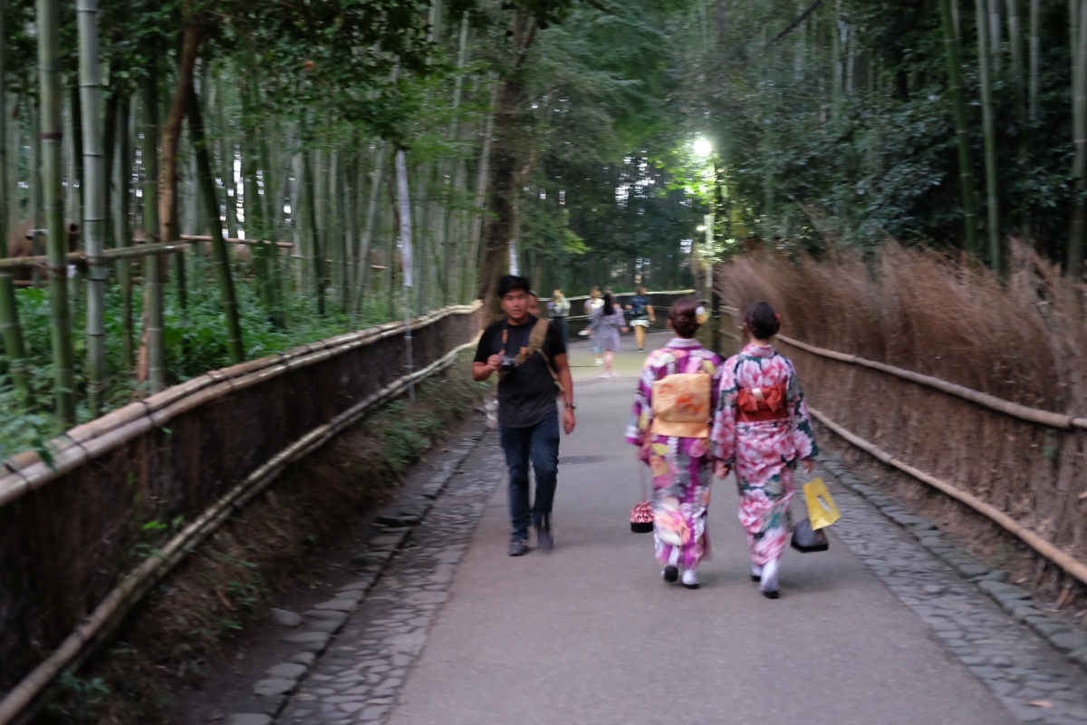 嵐山の風景